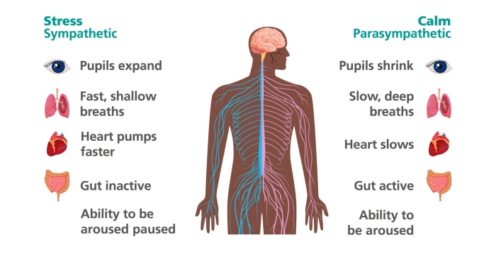 Full text description is at the bottom of the page